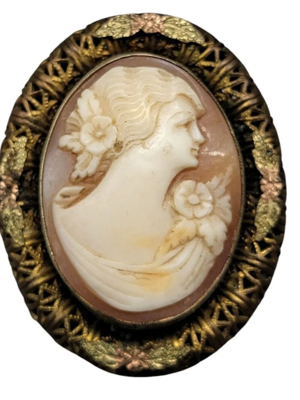 Vintage Carved Cameo Brooch Intricate Woven Frame Mixed Metal Gold Plated Leaves